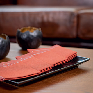 Alquiler de set de mesa y servilletas cóctel 