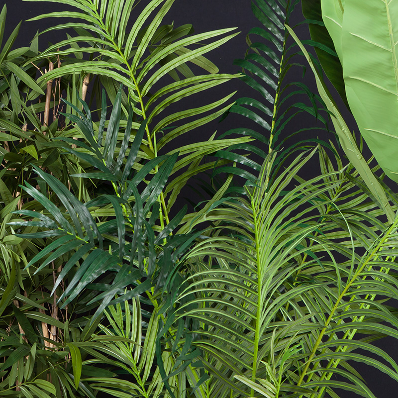 Alquiler de flores y plantas