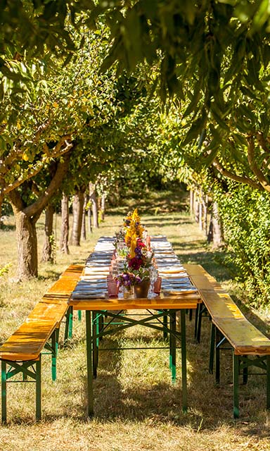 Brunch en el jardín 