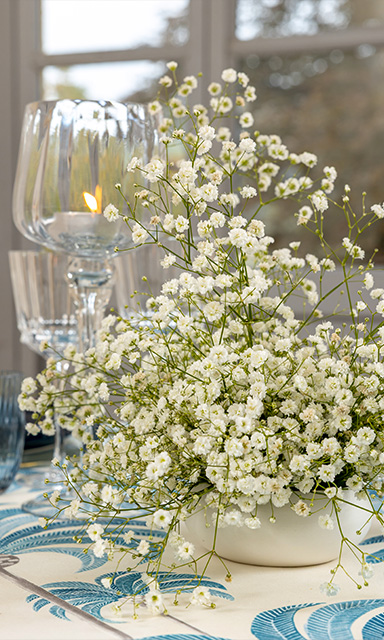 Brillo mediterráneo