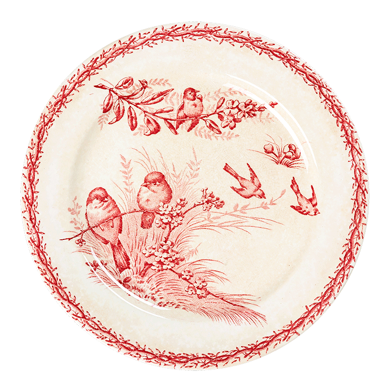 Plato grande Vintage rojo y rosa