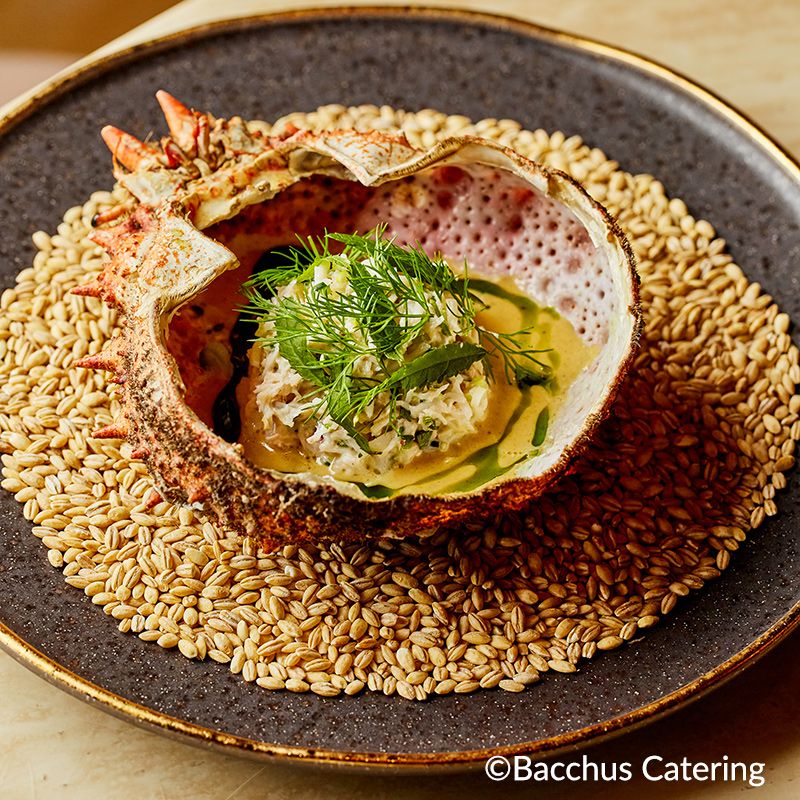 Platos Ceniza dorado