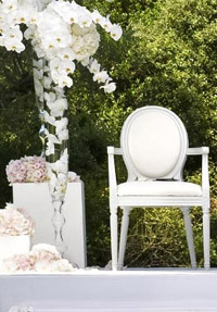 bodas